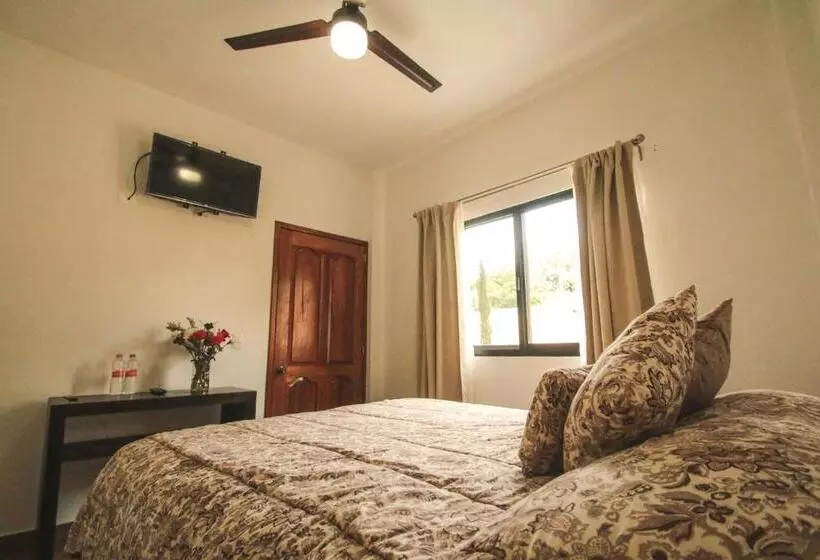 هاستل Posada Hacienda Real
