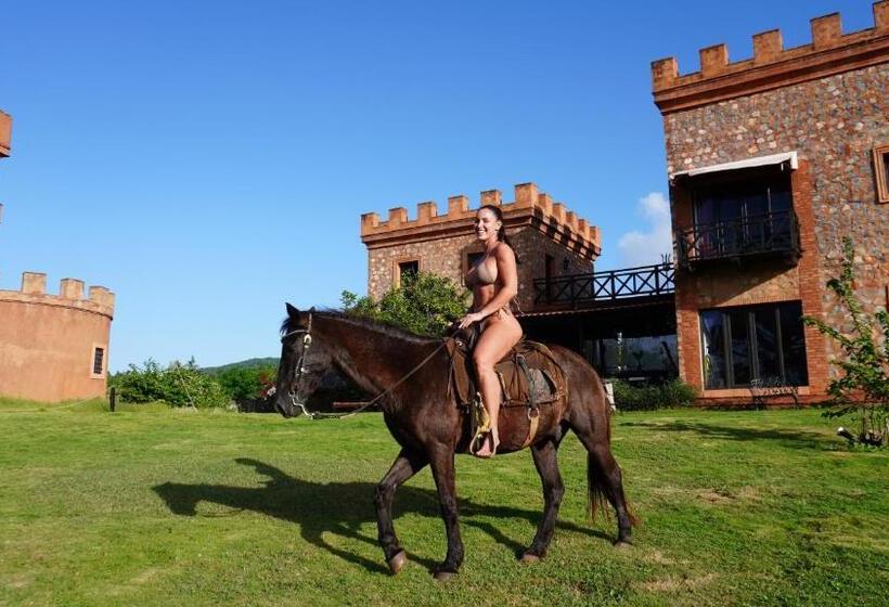 تختخواب و صبحانه El Castillo