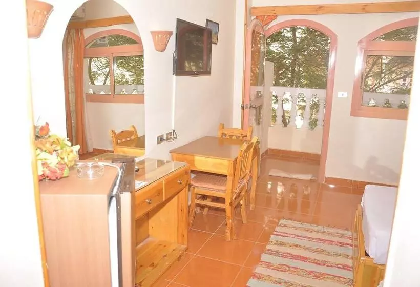 هتل Ali Baba Safaga