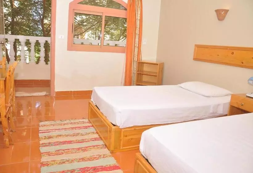 هتل Ali Baba Safaga