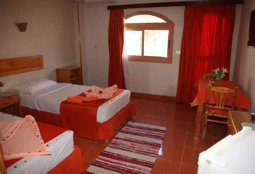 هتل Ali Baba Safaga