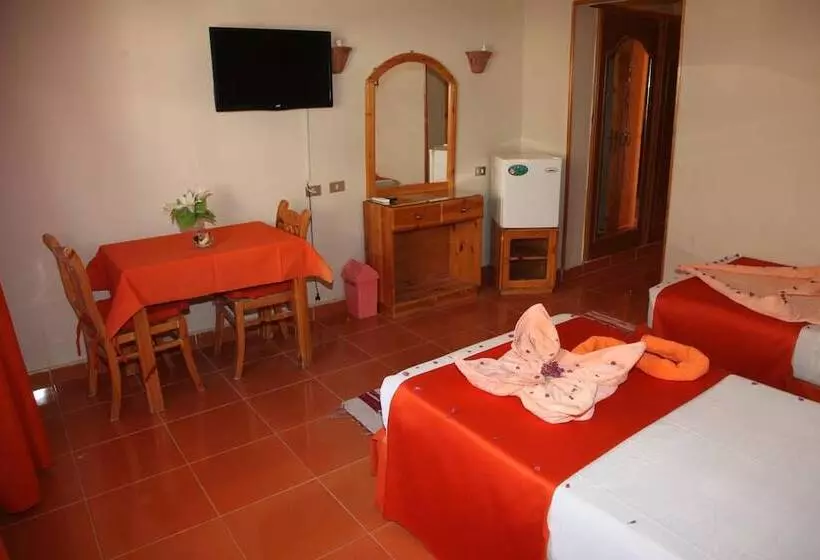 هتل Ali Baba Safaga