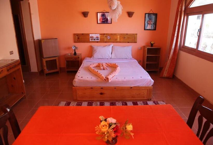 هتل Ali Baba Safaga