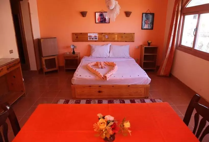 هتل Ali Baba Safaga