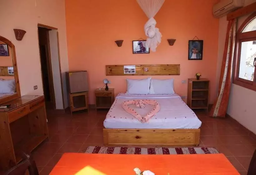 هتل Ali Baba Safaga