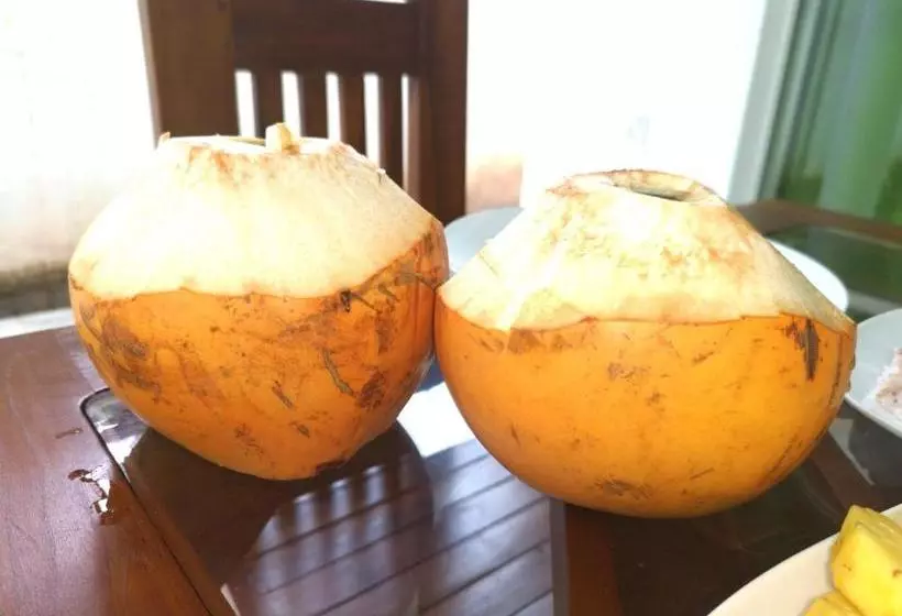 تختخواب و صبحانه Abhimani Bungalows