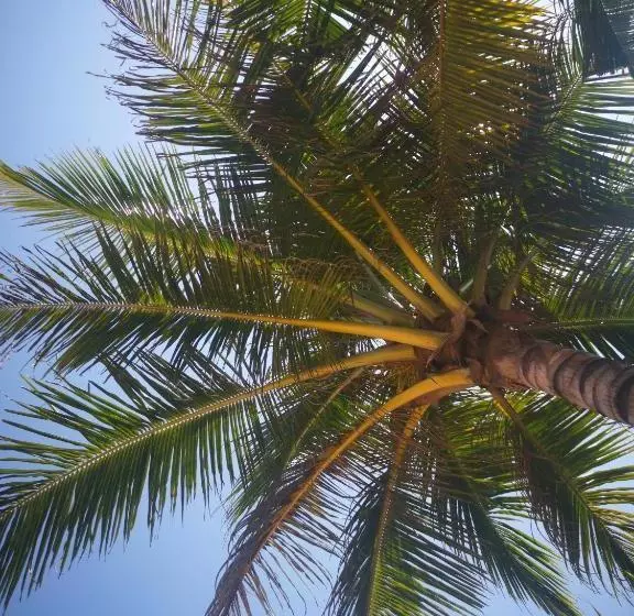 تختخواب و صبحانه Abhimani Bungalows