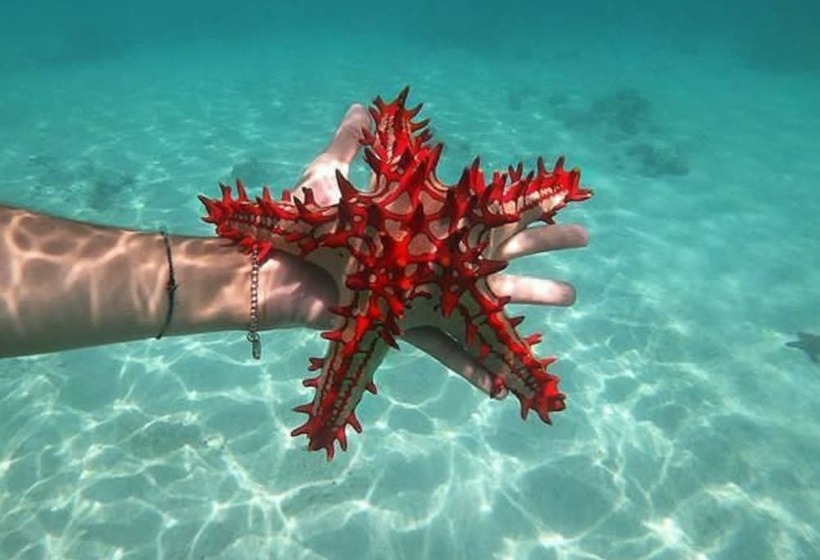 مبيت وإفطار Dream Of Kendwa Beach Villa