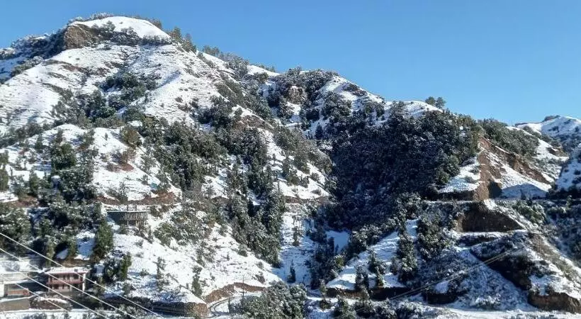 هتل Kaithli Hills Shimla