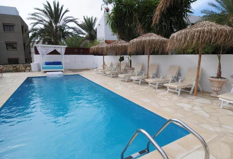 בית מלון כפרי Lithos Studios