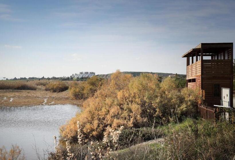 בית מלון כפרי Lithos Studios