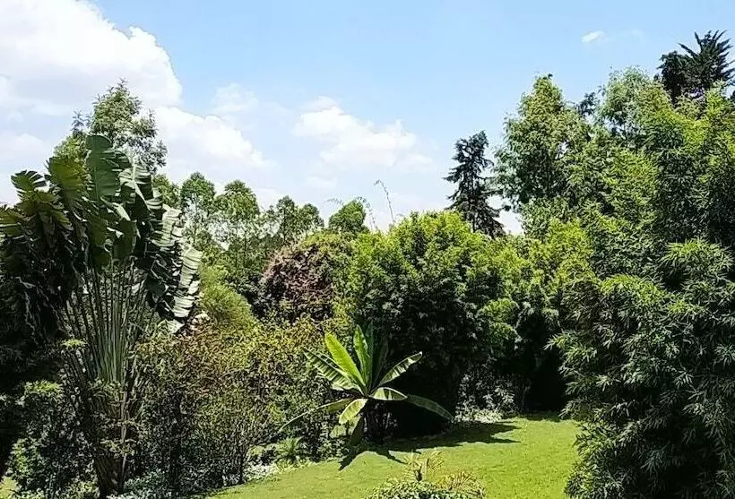 پانسیون Zereniti House