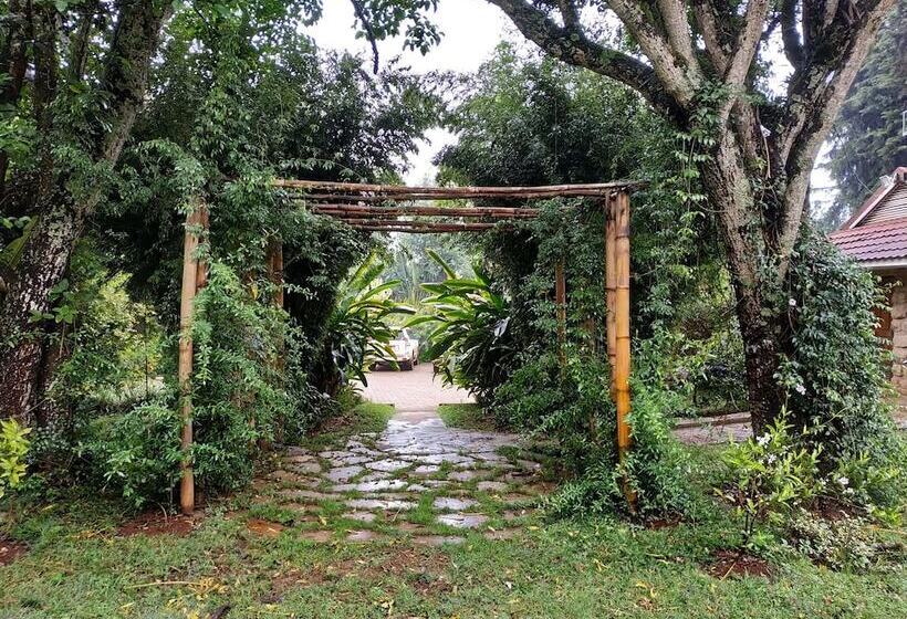 پانسیون Zereniti House