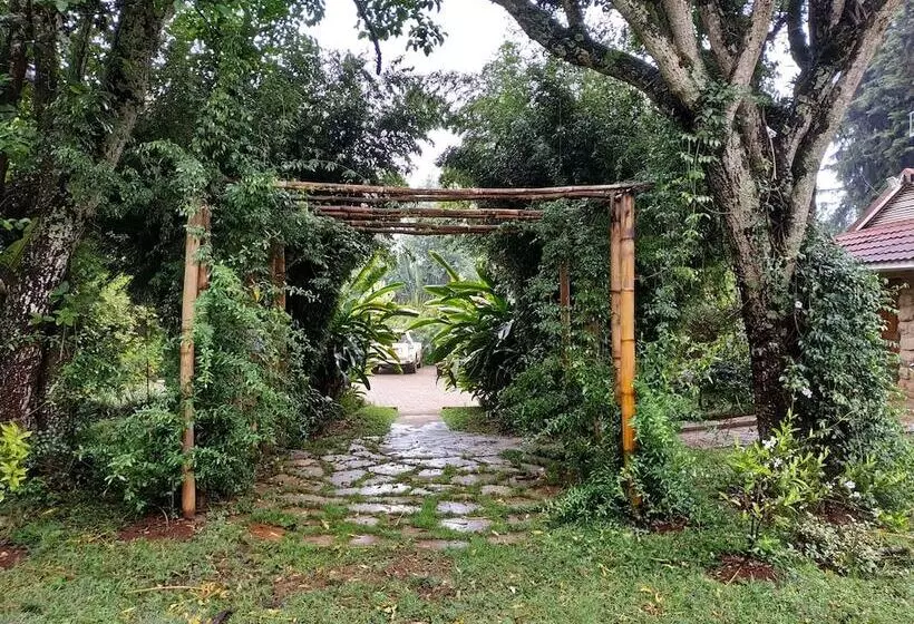 پانسیون Zereniti House