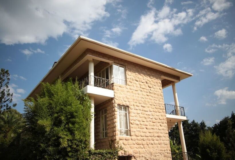 پانسیون Zereniti House