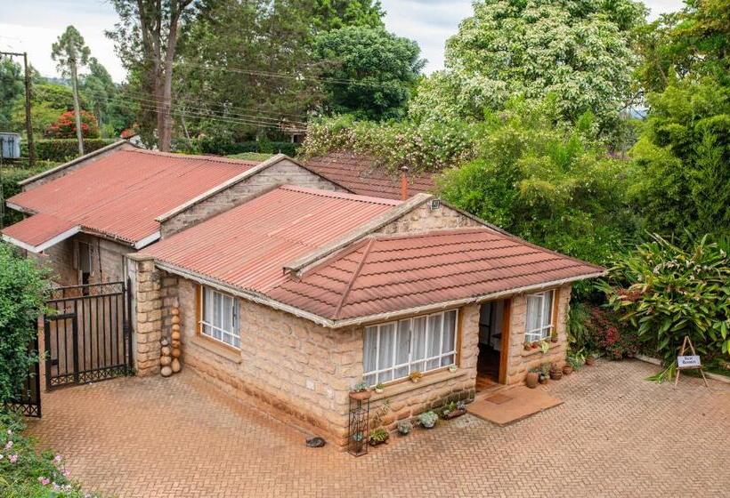 پانسیون Zereniti House