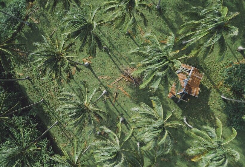 渡假胜地  Bintana Sa Paraiso Binunsaran