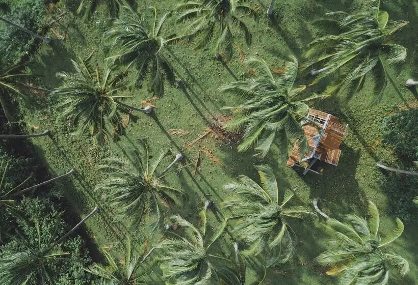 Lomakeskus Bintana Sa Paraiso Binunsaran