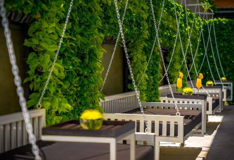 فندق Blanc Smith Residence