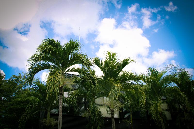 호텔 Urban Bacalar