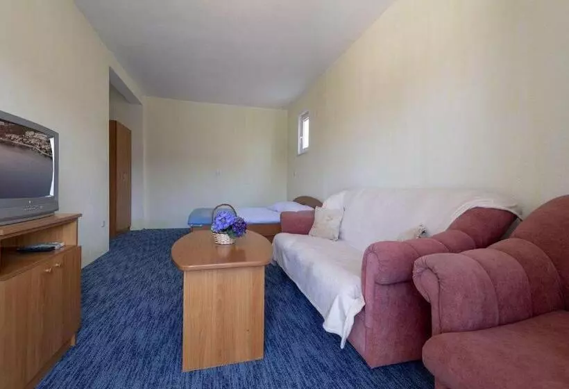 پانسیون Apartmani Jogunica