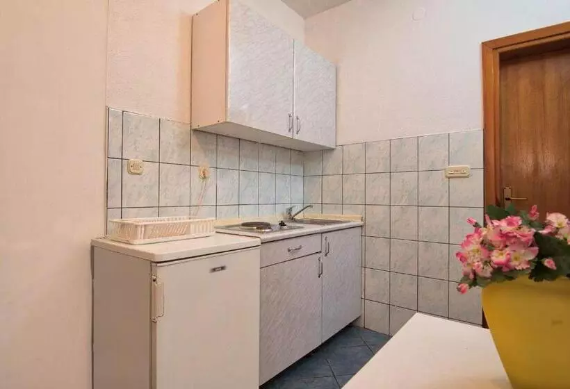 پانسیون Apartmani Jogunica