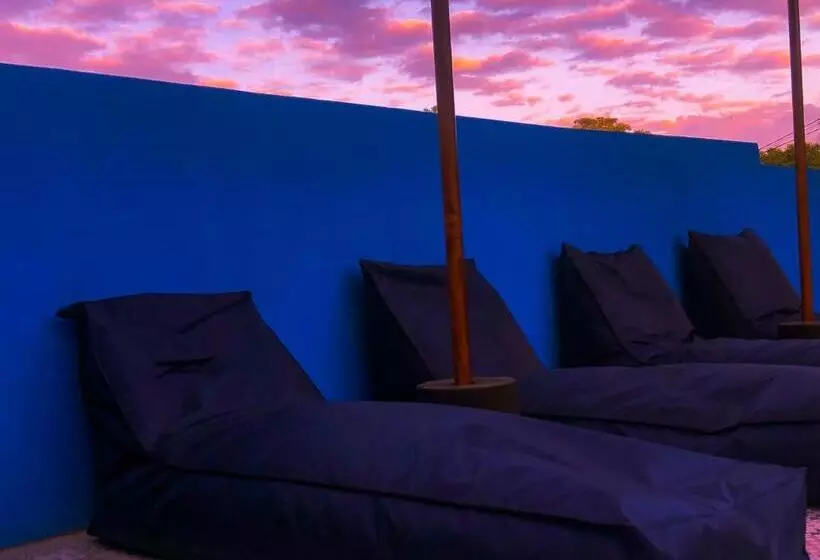پانسیون Auora Guest House