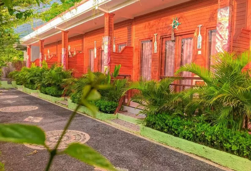 پانسیون Auora Guest House