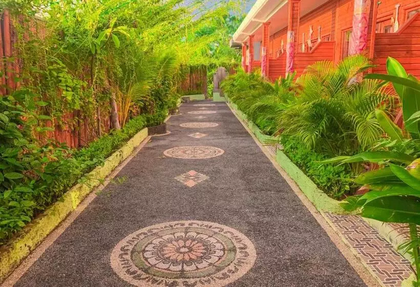 پانسیون Auora Guest House