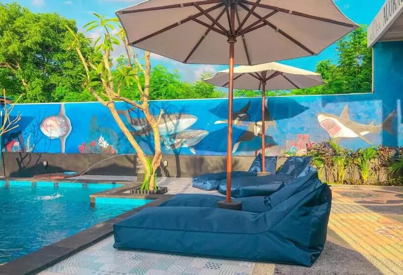پانسیون Auora Guest House