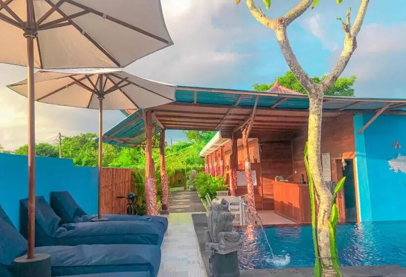 پانسیون Auora Guest House