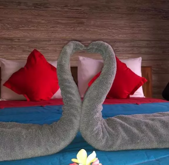 پانسیون Auora Guest House