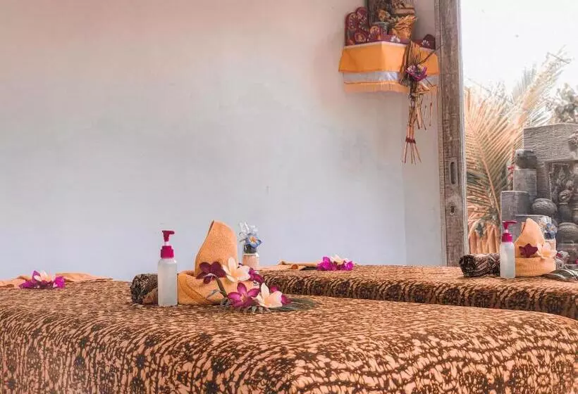 پانسیون Auora Guest House