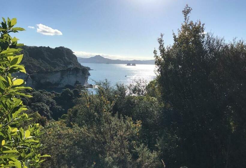 פנסיון Hahei Retreat