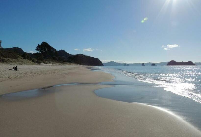 פנסיון Hahei Retreat