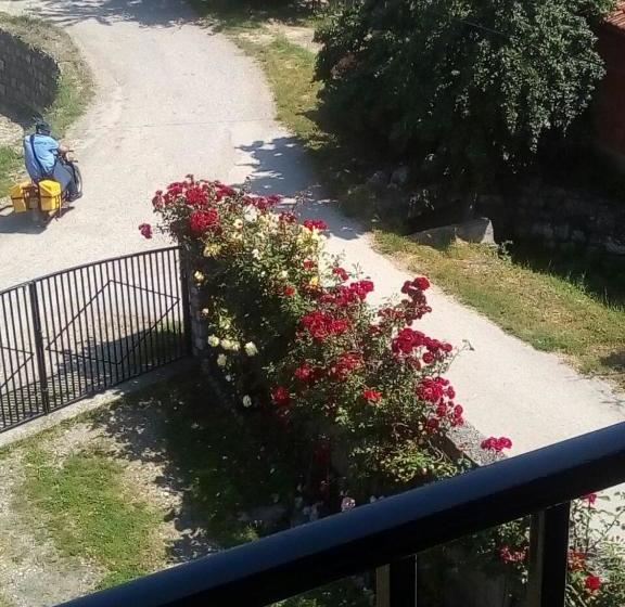 تختخواب و صبحانه Sobe Seka