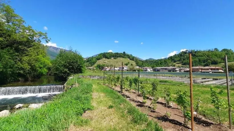 Hotelli Agriturismo La Bella