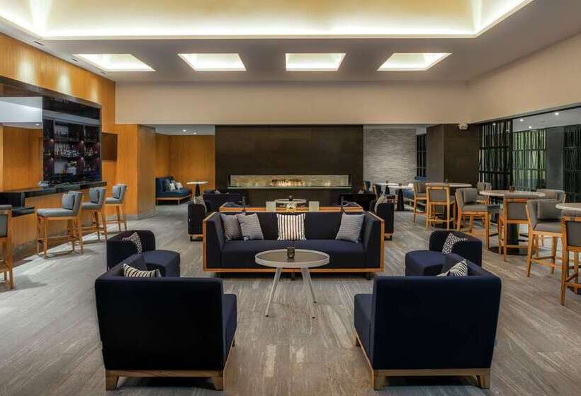 هتل Hilton Guadalajara Midtown