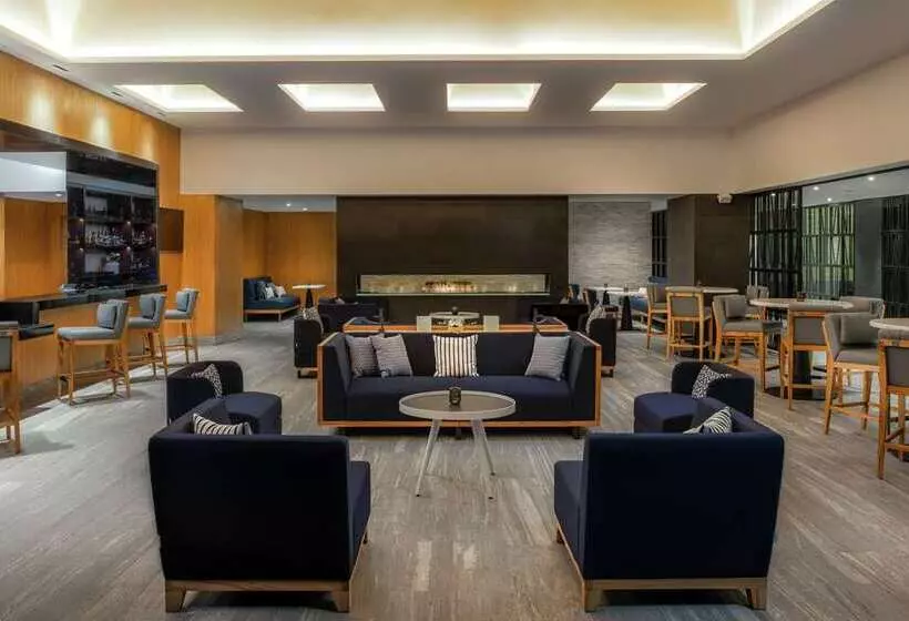 Hilton Guadalajara Midtown