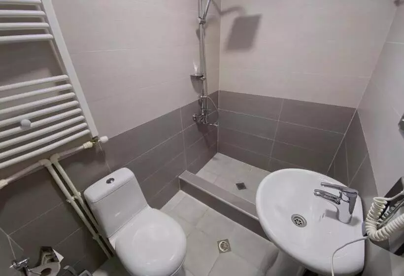 پانسیون Geo Inn