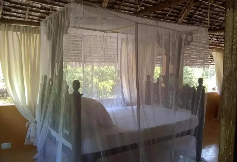 پانسیون Mangrove House