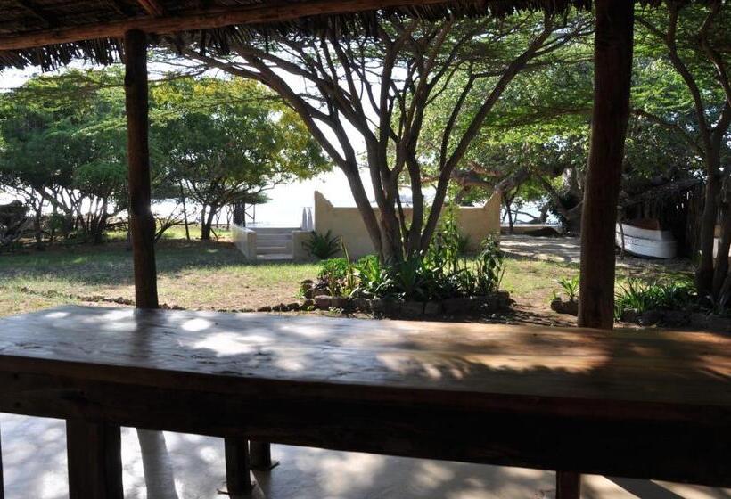 پانسیون Mangrove House