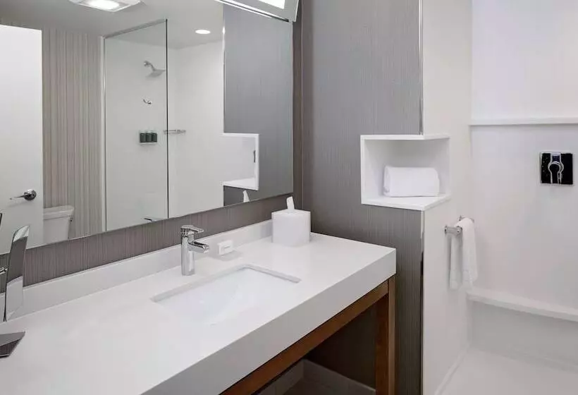 هتل Courtyard By Marriott Dallas Downtown/reunion District