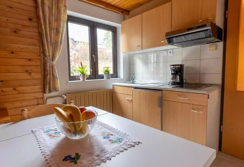پانسیون Apartments Pri Urhu