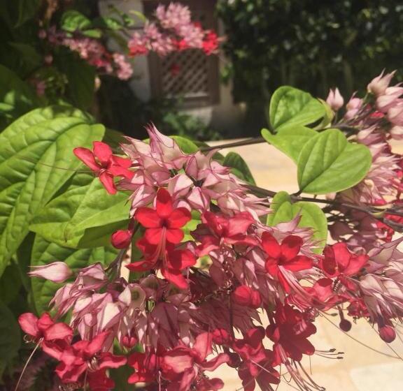 ペンション Beach Wind