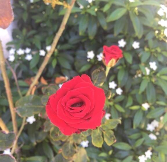 ペンション Beach Wind