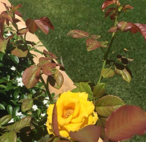 ペンション Beach Wind