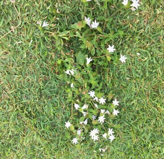 ペンション Beach Wind