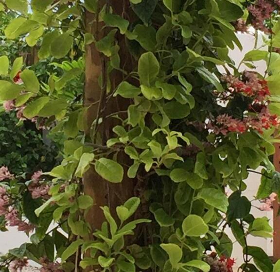 ペンション Beach Wind