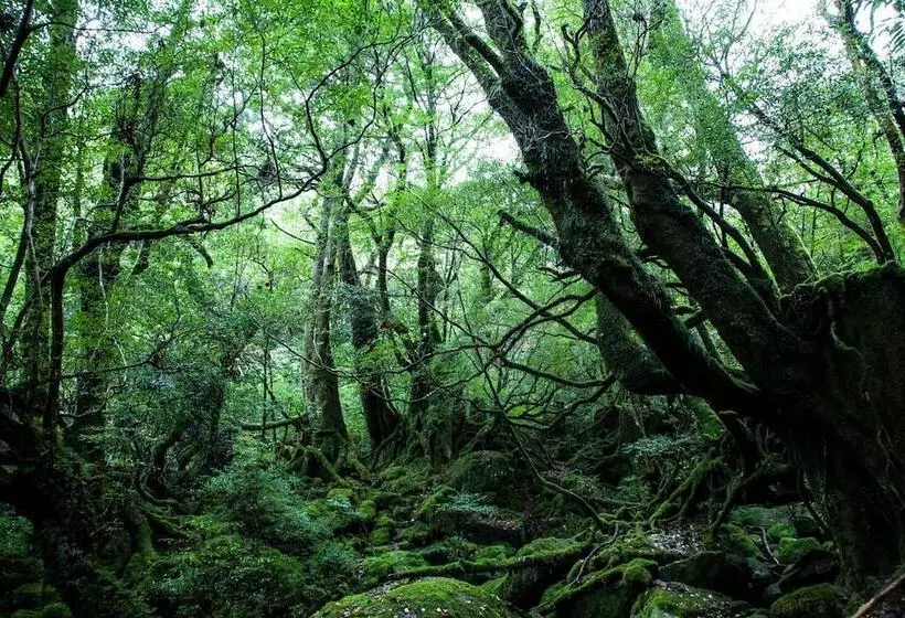 ユースホステル Ananda Chillage Yakushima